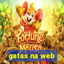 gatas na web